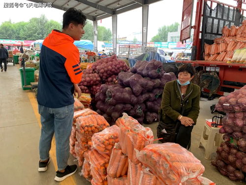 青蒜苗銷售調研與初步協議促成農副產品銷售新突破